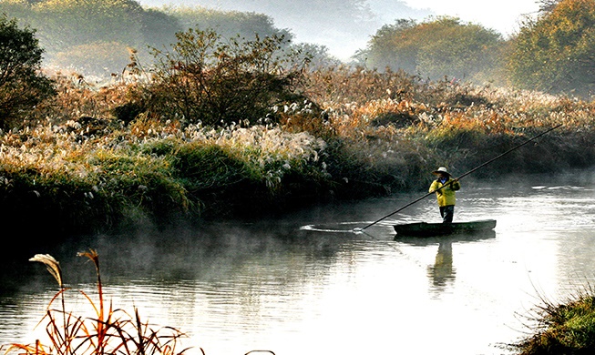 [Exploring Local 100 ③] Upo Wetland: pristinely preserved nature